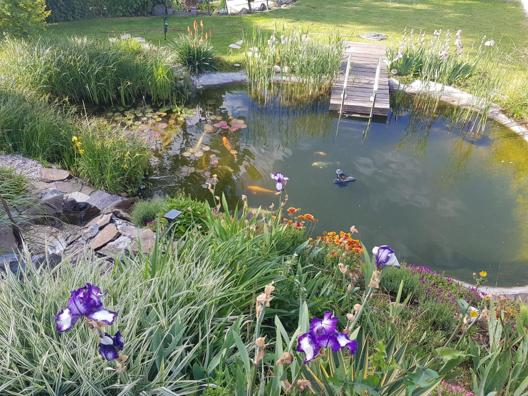 Wohlfuehlen Am Gartenteich Oberzissen 외부 사진
